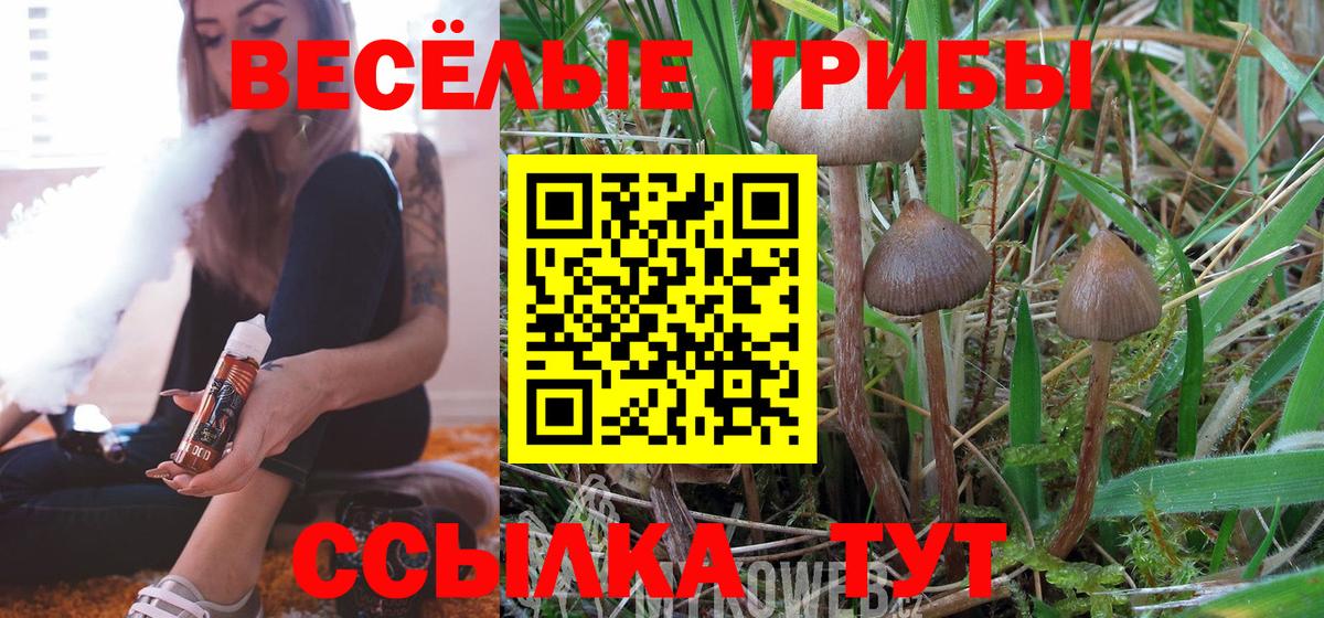 Псилоцибиновые грибы мицелий Старая Купавна