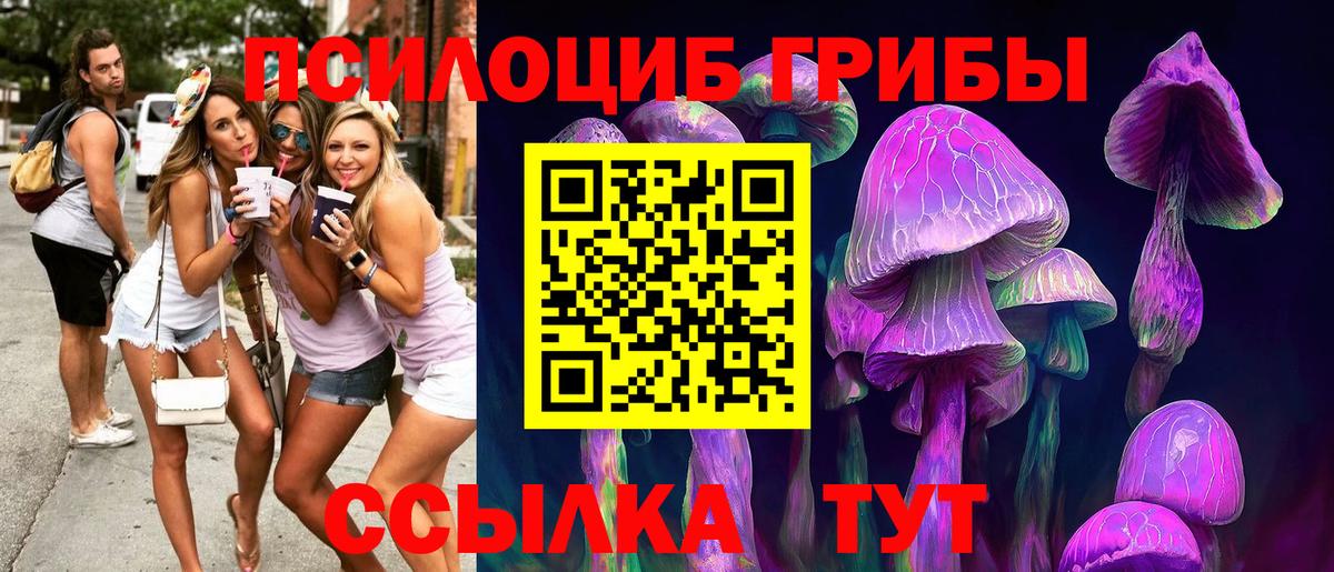 Старая Купавна  Псилоцибиновые грибы MAGIC MUSHROOMS  Галлюциногенные грибы прущие грибы  Вход с VPN 